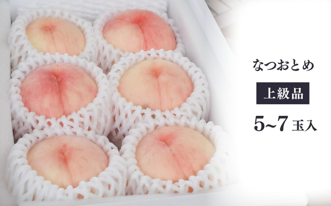 【2026年先行予約】甘い桃「なつおとめ」上級品 5~7玉入 (岡山県産) 【KF-A017-01】