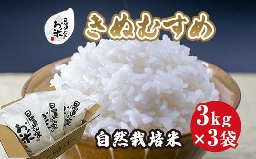 168.日置さん家の自然栽培米「きぬむすめ」精米　3kg×3袋 2025年産 313726_AE011VC01