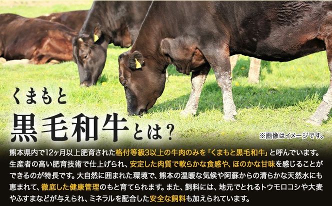 【A4～A5】くまもと黒毛和牛 サーロインステーキ 500g《30日以内に出荷予定(土日祝除く)》 牛肉 くまもと黒毛和牛 黒毛和牛 冷凍庫 サーロイン ステーキ---sn_fespsa_30d_r7_22500_500g--