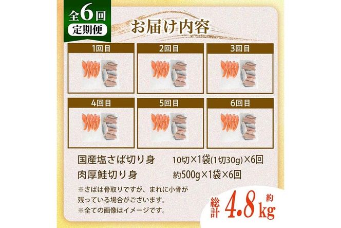 【定期便・全6回(連続)】骨取り 国産 塩さばと 肉厚 鮭 切り身 のセット(総計約4.8kg) 量 切身 塩 鯖 サバ 骨なし 骨とり 冷凍食品 小分け パラパラ冷凍 肉厚 鮭 厚切り しゃけ さけ サケ 切身 塩鮭 【AW-142】【丸正水産】