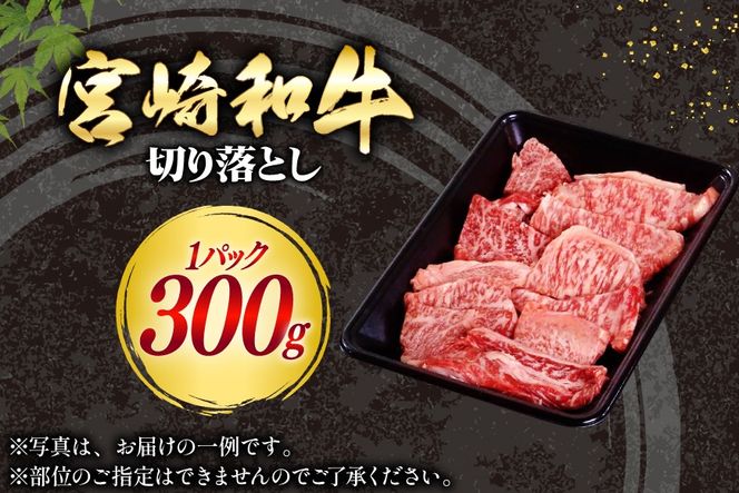牛肉 宮崎和牛 切り落とし 焼肉 300g [道の駅「日向」物産館 宮崎県 日向市 452061758] 切落し 黒毛和牛 宮崎県産 厚め カット 焼き肉 国産 ふるさと納税 冷凍 肉 牛 きりおとし