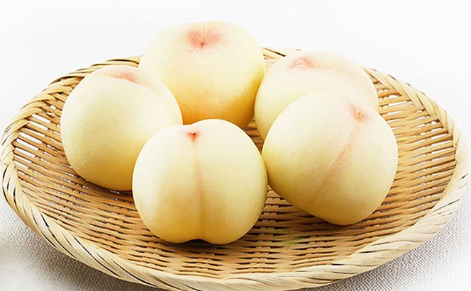 桃 2026年 先行予約 岡山 白桃 5玉（1玉310g以上）等級：ロイヤル指定／糖度：12度以上 木箱入り もも モモ 岡山県産 国産 フルーツ 果物 ギフト 