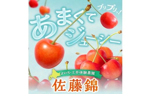 【先行予約：2026年6月下旬以降発送】さくらんぼ【佐藤錦】1Kg_Y127-0014