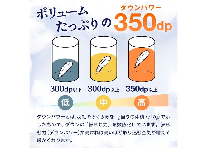 【数量限定】 ちょうどいい羽毛布団 ライトグレー シングル 薄手 中厚 厚手 【選べるおふとんの厚みタイプ】 肌掛け 合い掛け 本掛け 布団 寝具 羽毛ふとん すぐ届く スピード発送 山梨 富士吉田