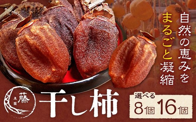 yF{Dz` Iׂe 8 ܂ 16 ` ʕ t[c  ` D_s12{-1{oׁtF{ D hCt[c Ö  aَq F{Y  XC[c---mifune_mfn_2_8---