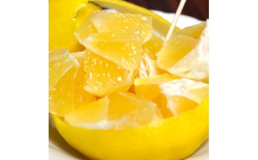 【CF-R7hbk】SKS066　【先行予約】訳あり 土佐小夏 2.5kg 2.5キロ サイズお任せ こなつ コナツ 柑橘 かんきつ 柑橘類 フルーツ 果物 くだもの デザート おやつ ジュース ジャム 美味しい 家庭用 ご自宅用 訳アリ