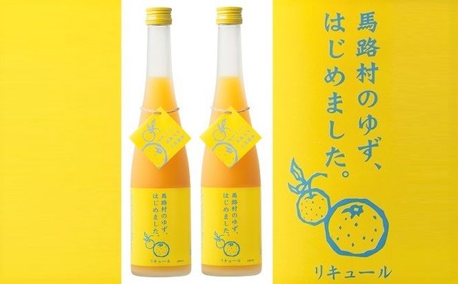 ゆず梅酒　500ml×2本　＜篠崎＞ お酒 洋酒 リキュール類 