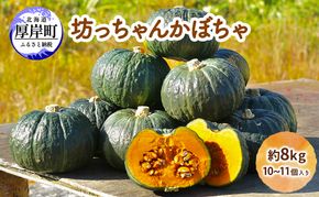 かぼちゃ 厚岸ハスカ 坊ちゃんかぼちゃ 約8kg（10～11個入り） 【厚岸ハスカ】[ 野菜 味が濃い 甘い 北海道産 北海道産 南瓜 パンプキン ]