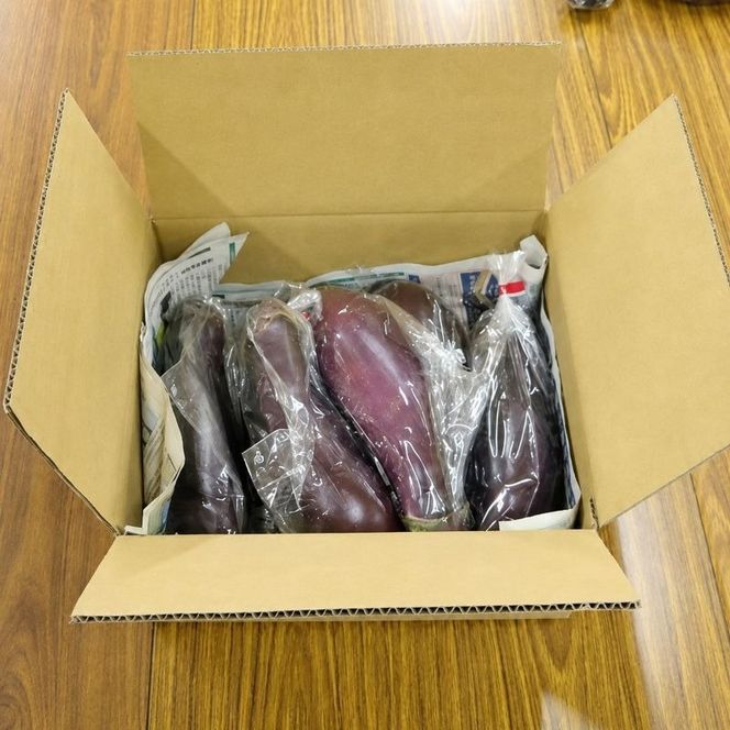 【 伝統野菜 ぼたなす 秀品 1.5㎏ 】 なす ナス ボタナス 焼きナス ナスレシピ 野菜 とろける食感 クリーミー 人気 お取り寄せ 野菜セット 甘い 産地直送 新鮮 野菜 希少 吉良川町 日南 大平 集落活動センター ひなたぼっこ 高知県 室戸市
