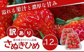 訳あり さぬきひめ 1.2kg 香川県産 苺 イチゴ フルーツ 果物 くだもの 旬のフルーツ 旬の果物 不揃い ジャム 加工 加工食品 訳アリ 香川 香川県 東かがわ市