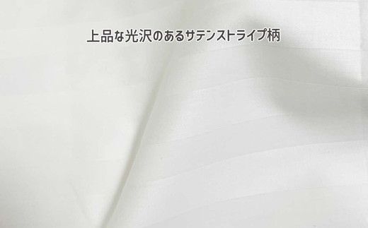 【2.6-3】ザ・ホテルピロー 枕カバー付き 50×70cmリサイクルダウン50％ 抗ウィルス加工 ダウンピロー　羽毛 【251-000507-20】