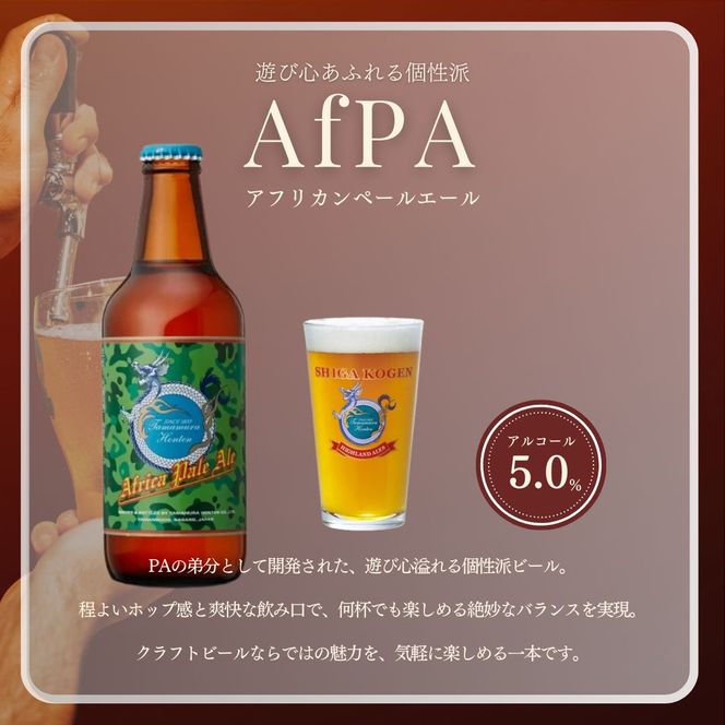 父の日 定期便 3ヶ月 志賀高原ビール12本セット 【 クラフトビール 志賀高原ビール 飲み比べセット 玉村本店 ビール 詰め合わせ セット 地ビール 飲み比べ 黒ビール IPA ipa ペールエール 酒 お酒 長野 定期 お楽しみ 3回 】