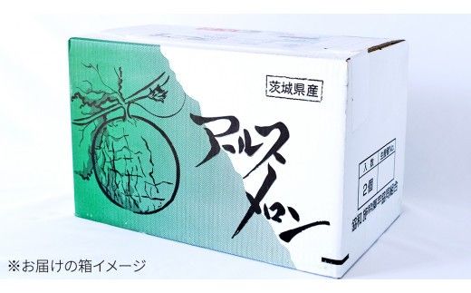 完熟 アールスメロン 1玉 2026年産 先行予約 メロン マスクメロン 青肉 果物 フルーツ 茨城県産 期間限定 数量限定 [AF086ci]