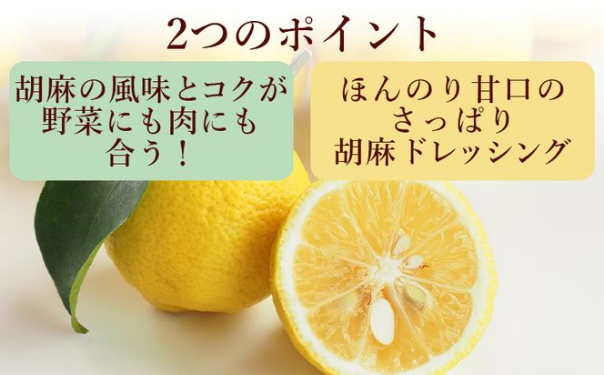 胡麻スッたらうまいで生姜 3本セット(200ml×3) - 国産 調味料 胡麻ドレッシング ごま 甘口 野菜 サラダ しゃぶしゃぶ フライ 加工品 高知県特産品販売 高知県 香南市 常温 kc-0004
