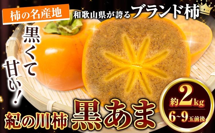 [先行予約]紀の川市産 黒あま 種なし 約2kg(6〜9玉前後)4L〜2Lサイズ[2025年10月中旬-11月末頃出荷]和歌山県 紀の川市 たねなし柿 くろあま 高級 産地直送 かき 柿 カキ 果物 フルーツ---wfn_wlocal40_10c11m_24_10000_2kg---