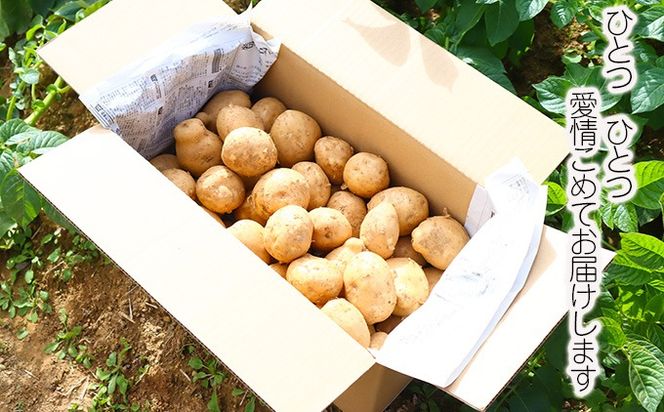 じゃがいも5kg（デジマ）