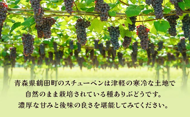 鶴田町　25年3月おすすめ返礼品！生産量日本一のおいしさ！芽実農園のぶどうジュース（スチューベン100％）720ml×2本 青森県鶴田町産スチューベン使用 果汁飲料 無添加 果汁100％ ストレートジュース 