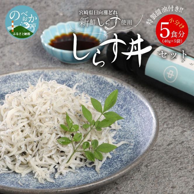 y{茧sz{Y 炷 Zbg  5H 200g V܏ ݖt@N065-YA0221