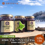 北海道仁木町産 ブルーベリージャム 120g×3本 [iori farm] 栽培期間中 除草剤不使用 果物 詰合せ セット フルーツ 