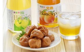 希釈用梅ドリンクとはちみつ梅干のセット【prm023B】