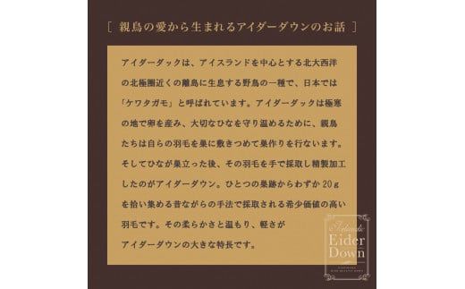 【nishikawa/西川】羽毛掛けふとんアイスランドアイダ—ダウン【P333W】（滋賀県　近江八幡市）