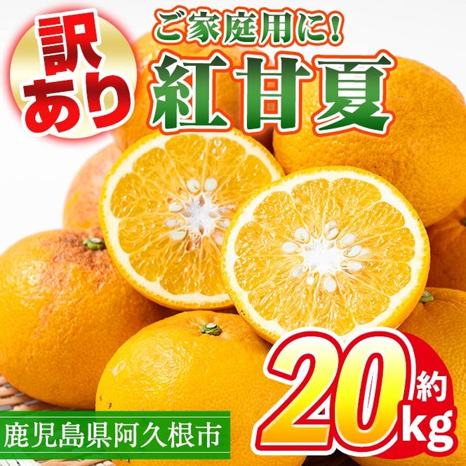 ＜先行予約受付中！2026年3月上旬以降順次発送予定＞訳あり！鹿児島県産まかない紅甘夏(約20kg) 国産 鹿児島産 柑橘 訳アリ 果物 フルーツ 旬 常温保存 紅甘夏 ベニアマナツ 数量限定 期間限定 規格外 デザート 阿久根市産【三笠農業生産】akn051-05