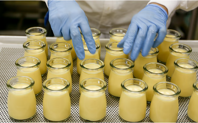 敷島堂 夢ぷりん 6本入 [№5735-0907]