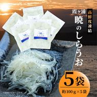 霞ヶ浦　暁のしらうお　約100g×5パック|茨城県 行方市 ふるさと納税 白魚 しらうお 海鮮（GT-6）