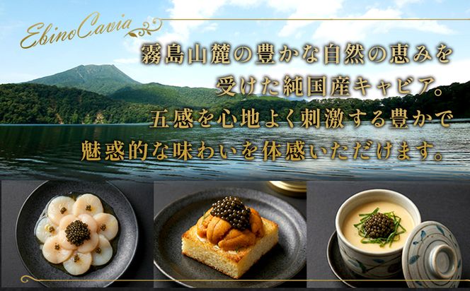 【ふるさと納税】キャビア ～ Chef's Portion ～ 国産 5g 冷蔵 宮崎県 えびの市産