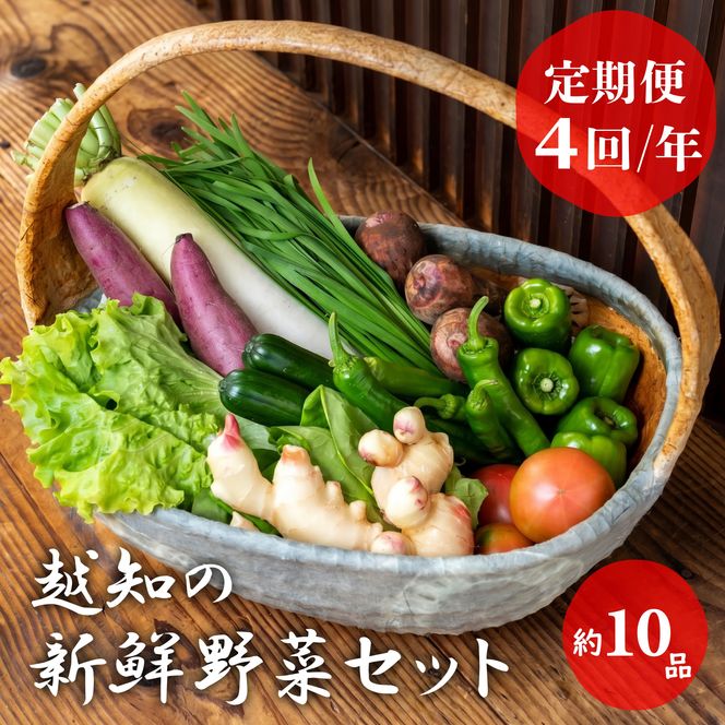 越知産市の季節の野菜セット(年4回発送)　産地直送　旬野菜