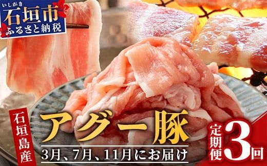 石垣島産アグー豚の定期便（3月、7月、11月お届け）【南ぬ豚 アグー豚 焼肉 食べ比べ 豚肉 石垣 石垣島 沖縄 八重山】 E-30