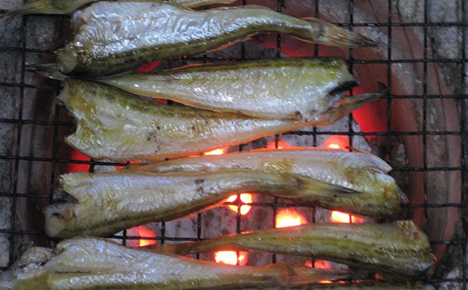 ハタハタ（大）干物 一夜干し 450g ×1箱 魚貝類 