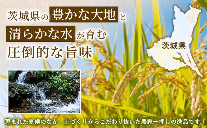【令和8年産】【精米】茨城あきたこまち20kg(5kg×4袋)