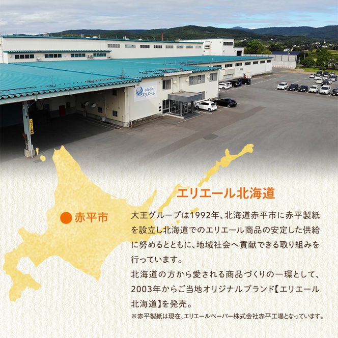 【定期便 2ヵ月連続お届け】エリエール 〈アソート〉 i:na (イーナ) シングル 100m 36ロール ティシュー 北海道 10箱 トイレットペーパー ティッシュ トイレ ボックスティッシュ まとめ買い ペーパー 紙 防災 常備品 備蓄品 消耗品 備蓄 日用品