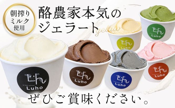 アイス スイーツ ジェラート 酪農家本気のジェラート 8個 または 12個 《30日以内に出荷予定(土日祝除く)》岡山県 笠岡市 ミルク チョコレート チョコ いちご 抹茶 バナナ 黒ごま---F-45---