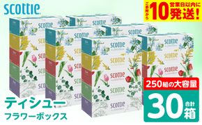 【スコッティ】 ティシュー フラワーボックス 250組 30箱 ティッシュ 日用品 生活必需品 消耗品 紙 まとめ買い 備蓄 防災備蓄 デザインボックス ストック 新生活 防災 生活用品 日用消耗品 箱ティッシュ