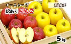 イーハトーヴ 訳アリ りんご 約５ｋｇセット《2026年3月より発送予定/予約受付》 【280-3】