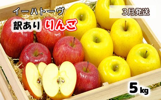 イーハトーヴ 訳アリ りんご 約５ｋｇセット《2026年3月より発送予定/予約受付》 【280-3】