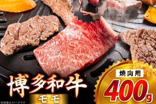 y}sz a  ēp 400g [JAS_~[gt[Y  }s 21761314]   ē Ă  Ⓚ a 