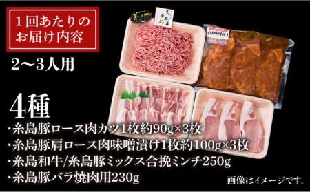 【全6回定期便】毎日のメインのおかずを彩る精肉セット 1,050g 2～3人前 4種《糸島》【糸島ミートデリ工房】 [ACA202] 和牛 牛肉 豚肉 鶏肉 BBQ トンカツ 焼肉 ハンバーグ