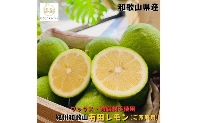 紀州和歌山 ご家庭用 有田 レモン 5kg+200g(傷み補償分)【防腐剤・ワックス不使用】【農家直送】【訳あり】 ※着日指定不可 ※2026年9月下旬～2027年3月下旬に順次発送予定【ard190A】