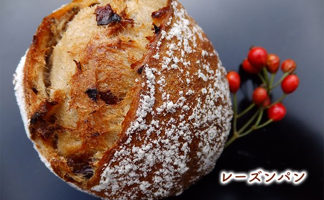 小麦由来酵母種パンバラエティセット 3種11個 