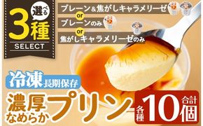 a529 選べる冷凍プリン！濃厚なめらかプリン各種合計10個(プレーン＆焦がしキャラメリーゼ計10個・プレーン10個・キャラメリーゼ10個)【かじはらプリン】姶良市 鹿児島県産 手づくり プリン専門店 ぷりん スイーツ おやつ デザート 洋菓子 冷凍 長期保存