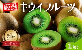 厳選 キウイ 1kg+250g （傷み補償分）【扁平果】  / 和歌山 フルーツ 果物 くだもの ※2026年11月中旬より2027年4月下旬頃順次発送予定 ※北海道・沖縄・離島配送不可 【ikd505-p-1】