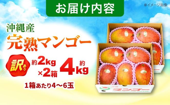 【先行予約 2026年発送 予約受付】 訳あり 完熟マンゴー 約4kg (約2kg×2箱) マンゴー 沖縄 果物 フルーツ ギフト 沖縄市 / ちゃんぷる〜市場[BCAA007]