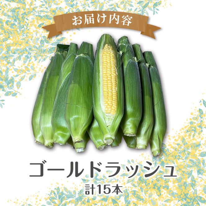 ＜先行予約受付中！2026年5月下旬以降順次発送予定＞厳選摘果！とうもろこし(15本・品種・ゴールドラッシュ) 国産 旬 野菜 青果 トウモロコシ 厳選 高糖度 冷蔵 期間限定 数量限定 【春田幸一】akn082-01