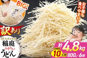 《定期便10ヶ月》稲庭古来堂 訳あり 非常に短い麺含む 稲庭うどん 800g×6袋を10回お届け 計48kg 伝統製法認定 稲庭古来うどん|02_ikd-110610