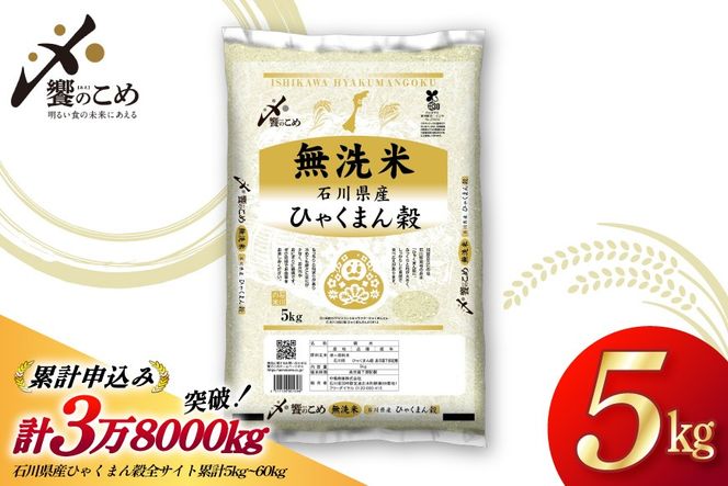 米 無洗米 令和7年産 石川県産 ひゃくまん穀 5kg [中橋商事株式会社 石川県 宝達志水町 38601326] お米 コメ こめ kome ごはん 無洗 ひゃくまんごく 5キロ 令和7年 能登