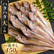 ハタハタ（大）干物 一夜干し 450g ×1箱 魚貝類  海鮮 干物 おつまみ 肴 ハタハタ 酒 myz02 myz11 myz17