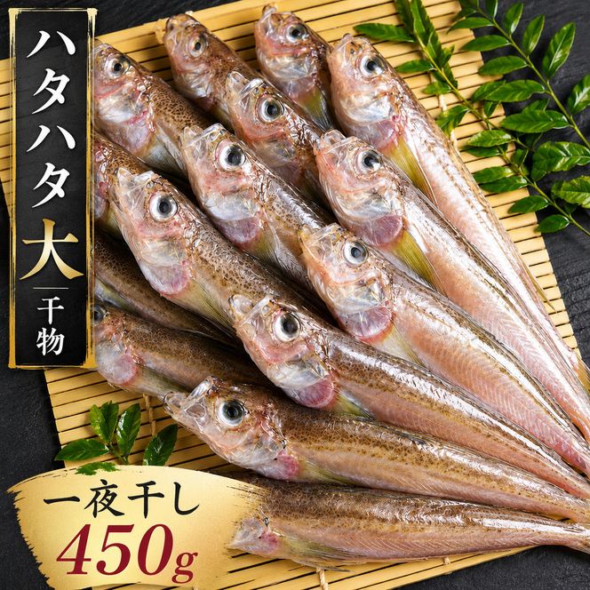 ハタハタ（大）干物 一夜干し 450g ×1箱 魚貝類  海鮮 干物 おつまみ 肴 ハタハタ 酒 myz02 myz11 myz17